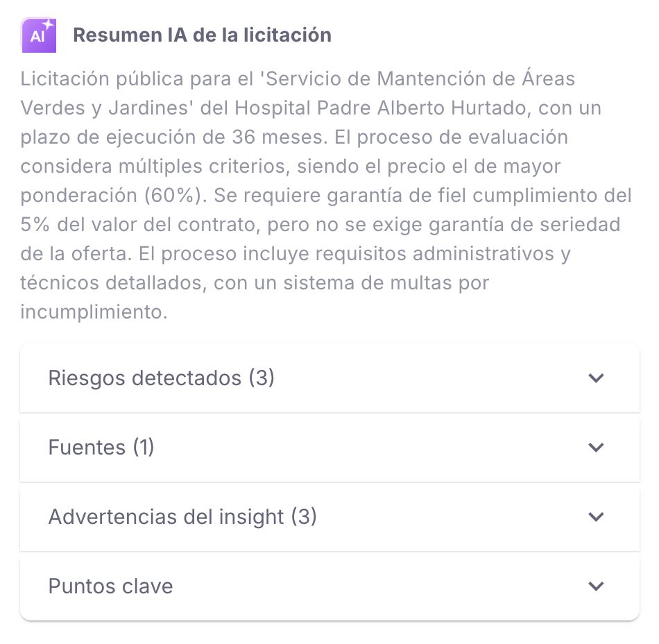 Resumen IA de una licitación con los riesgos detectados, las fuentes y los puntos clave